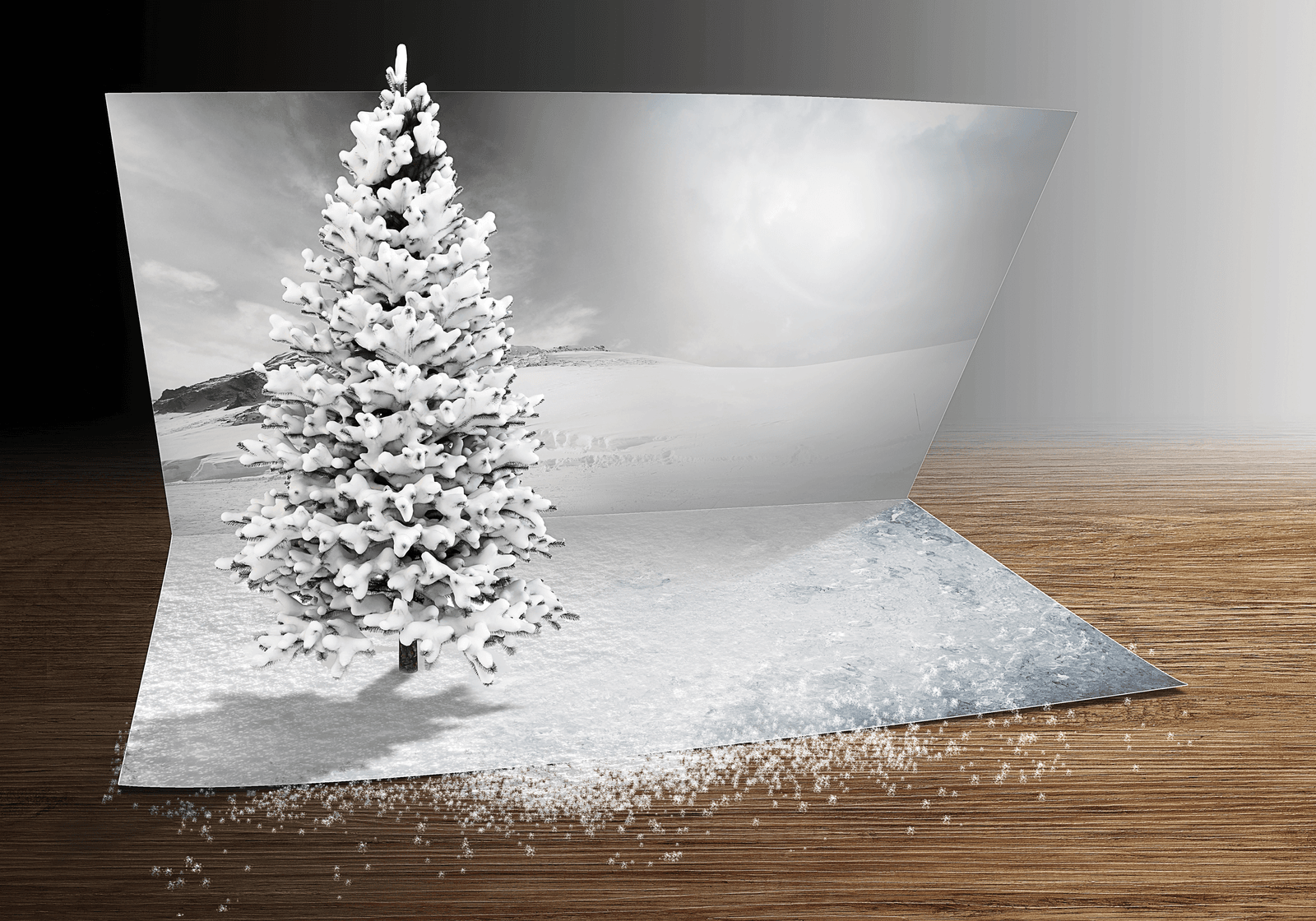 22bcbd15-fc7c-41b3-8649-92f0385c5b40-4650901