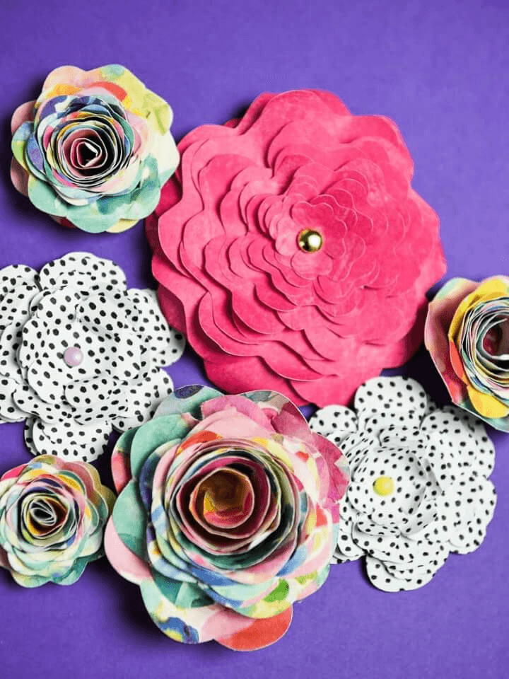 257a0d52-ee80-4f58-9228-c799a9043636-4857114