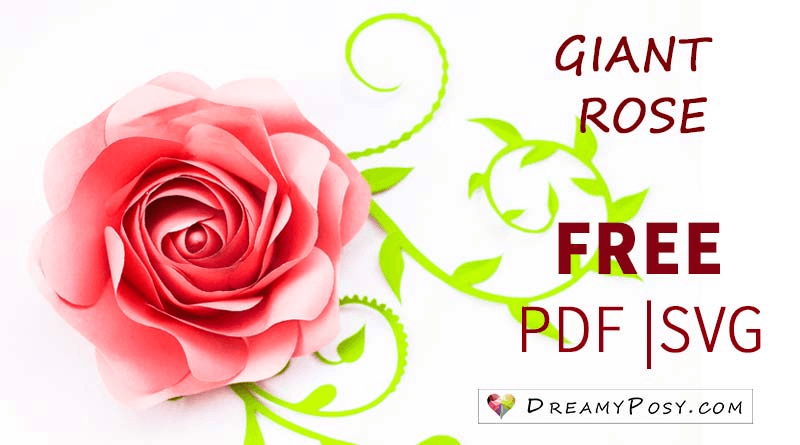 01a8afaa-94ef-4e9d-8e55-771fde24e712-2902300