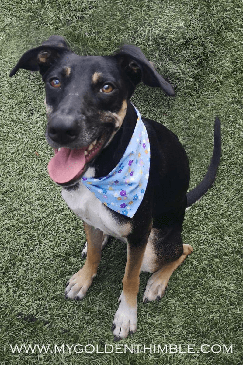 678a10ef-b740-4683-90b7-e3c90b6d6bc7-6162730