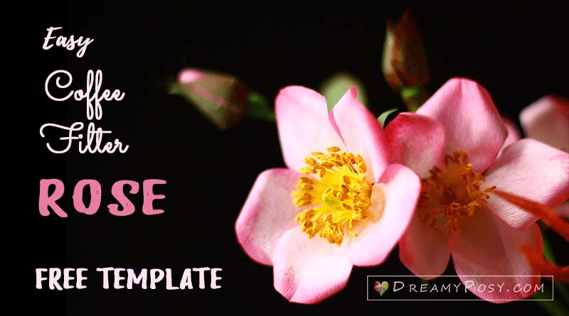 bb8bcf38-087f-4a9f-a00a-e49b5c744a63-7472340